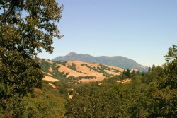 Sonoma Mountains, Sonoma County